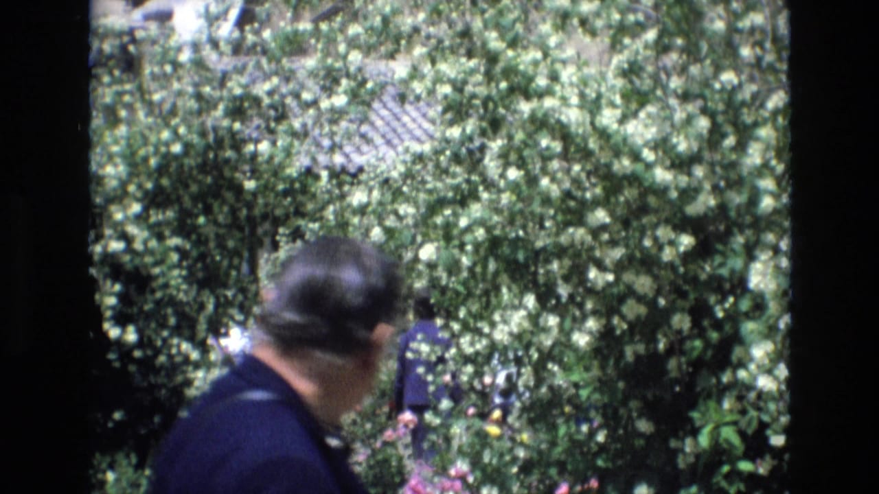 In this Spain 1972 home-movie frame, a tourist seen from behind moves through shade while leafy trees and part of a tiled-roof building fill the background.