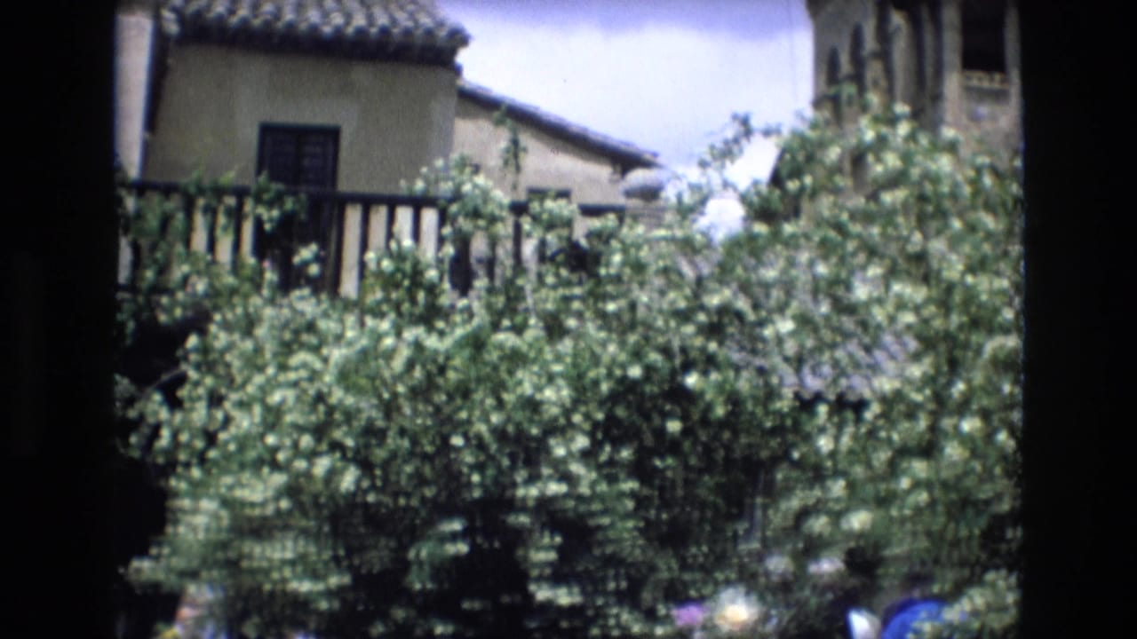 1972 Spain home-movie frame of leafy flowering trees in front of historic-looking buildings with tiled roofs and a tower-like feature.