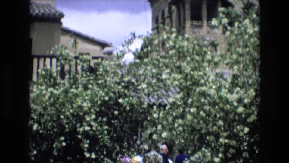 1972 Spain home-movie frame with flowering foliage dominating the foreground and historic-looking tiled-roof buildings behind it.