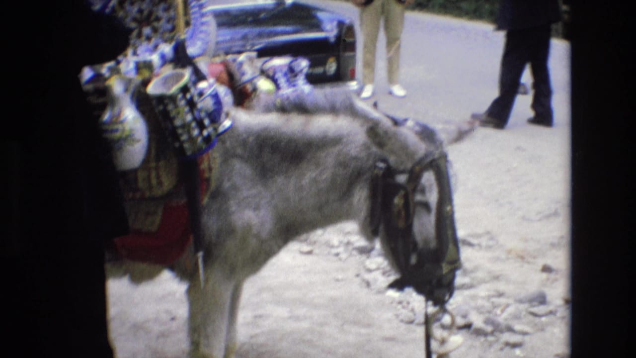 1972 Spain 8mm frame showing a donkey loaded with blue-and-white ceramic items while a dark-clothed street vendor stands nearby and pedestrians pass behind a parked dark car.