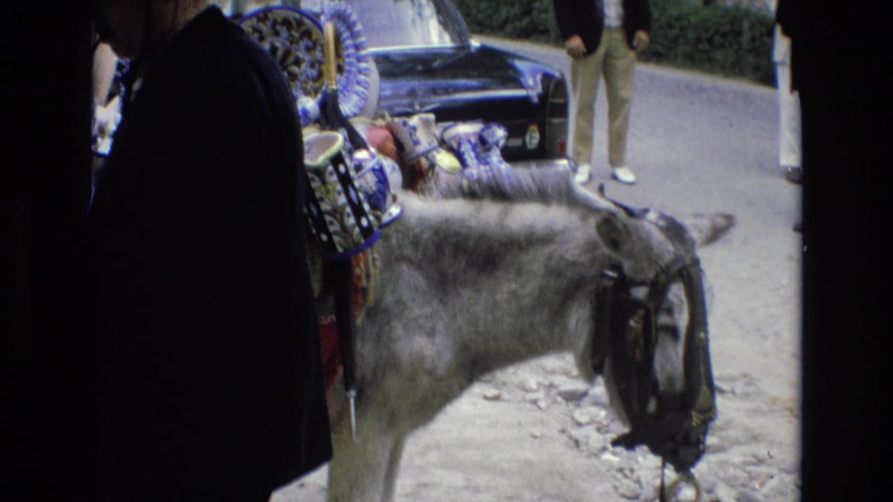 Street vendor stands in silhouette beside a donkey carrying ceramic items.