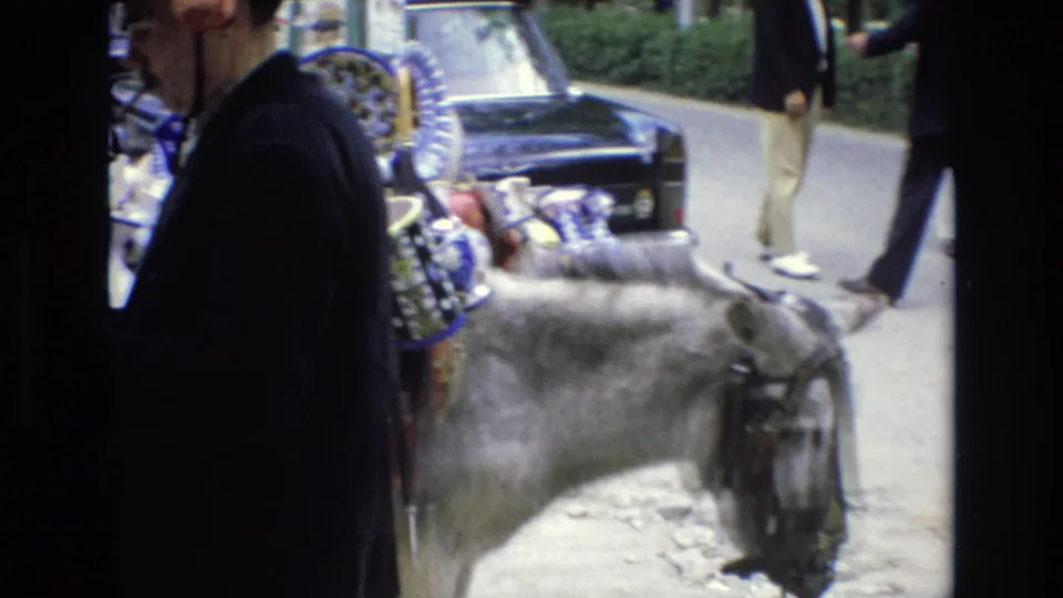 1972 Spain home-movie frame with a close view of the donkey’s head and ceramic display, the vendor partly at left, and pedestrians walking past on the street.