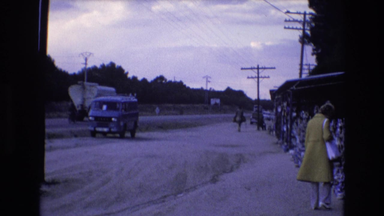 Blue van passes a roadside stall where a woman in a yellow coat stands near displayed goods.