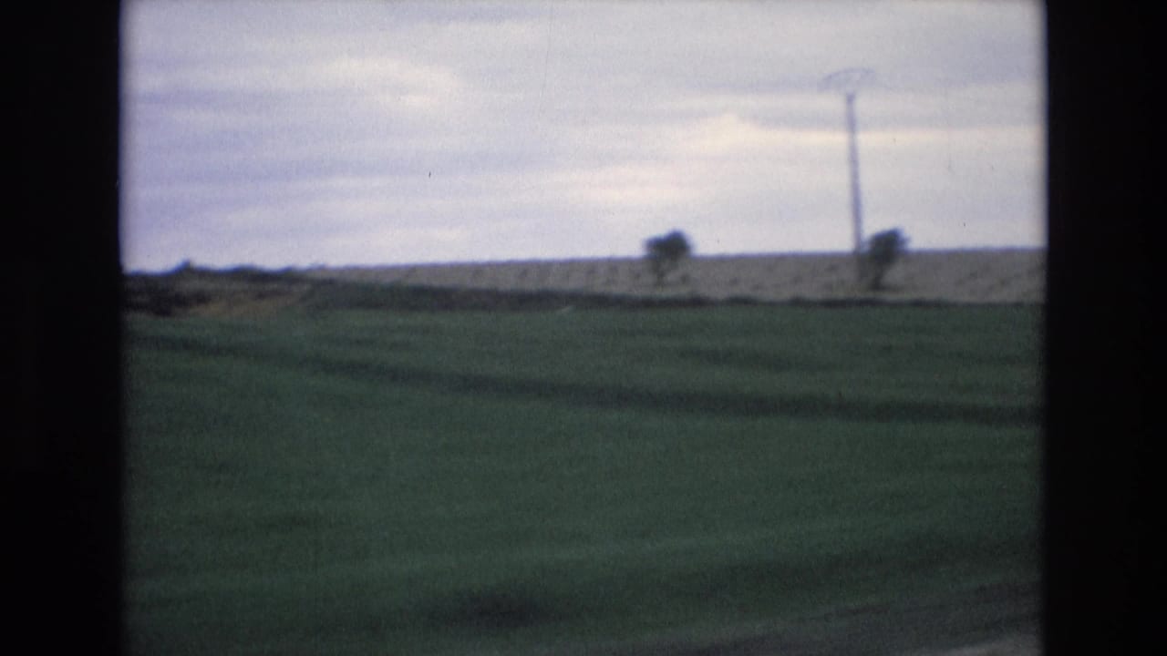 1972 Spain 8mm frame from a moving vehicle showing a green field, distant utility pole, scattered trees, and a grey overcast sky.