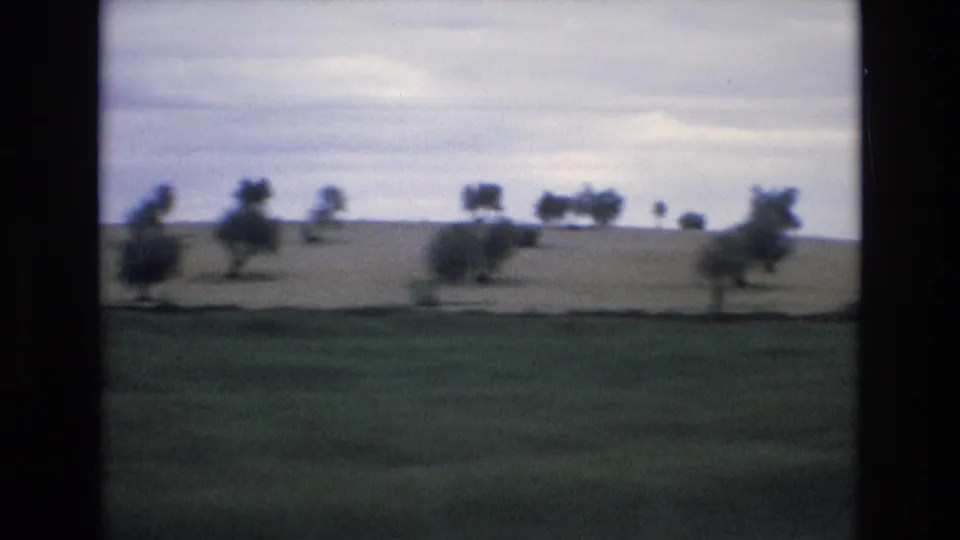 1972 Spanish countryside frame showing an open green field, low hillside, scattered trees, and muted overcast light.