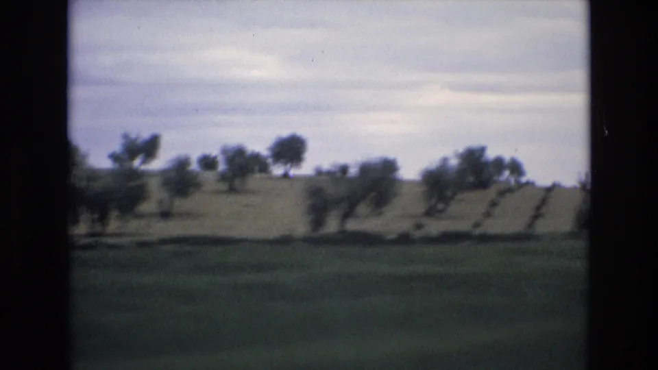 Moving 8mm view in Spain from 1972 showing a rural hillside, field rows, scattered trees, green foreground, and grey cloud cover.