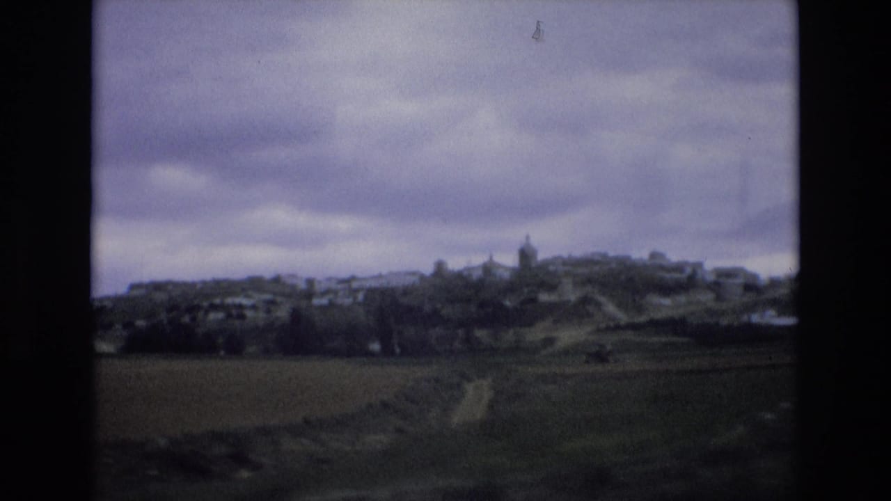 Wide rural view with fields, a distant village, and overcast sky.