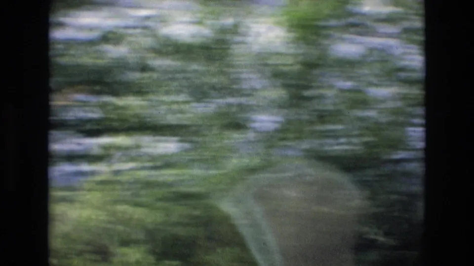 Motion-blurred 8mm frame from the 1972 Spain travel clip, showing roadside greenery passing close to the vehicle.