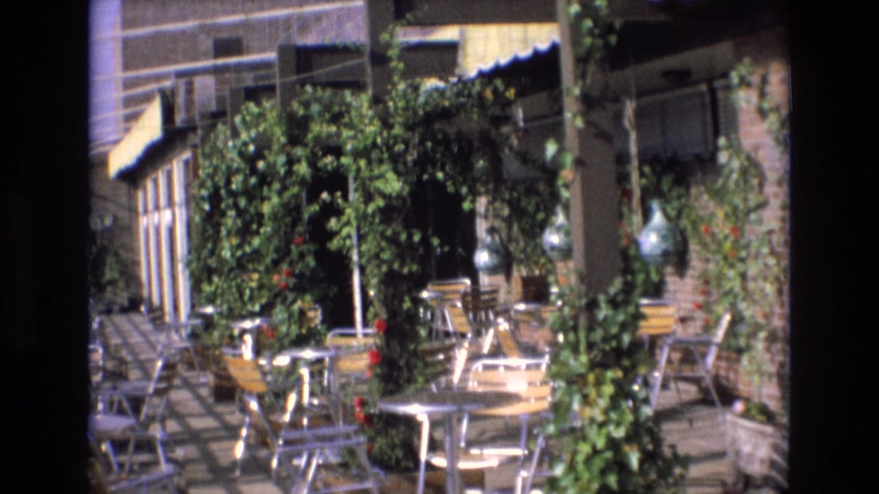 Sunlit patio seating area with vines, tables, chairs, awning, and hanging bottles.