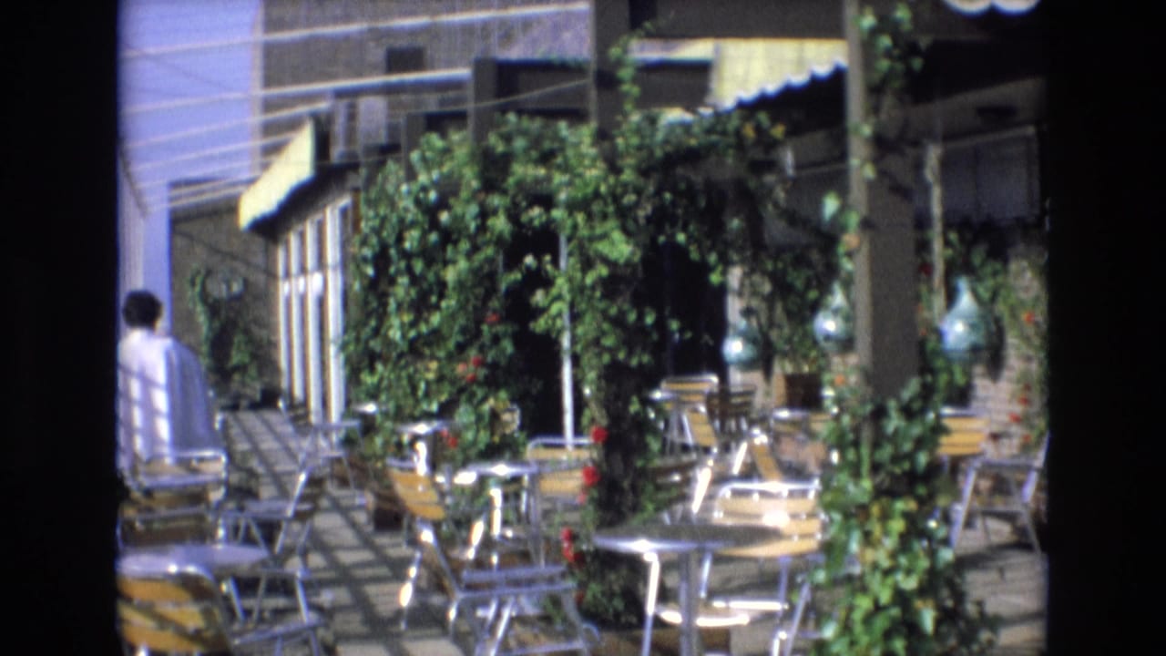 Cafe terrace with tables and chairs under awnings, surrounded by vines and potted plants.