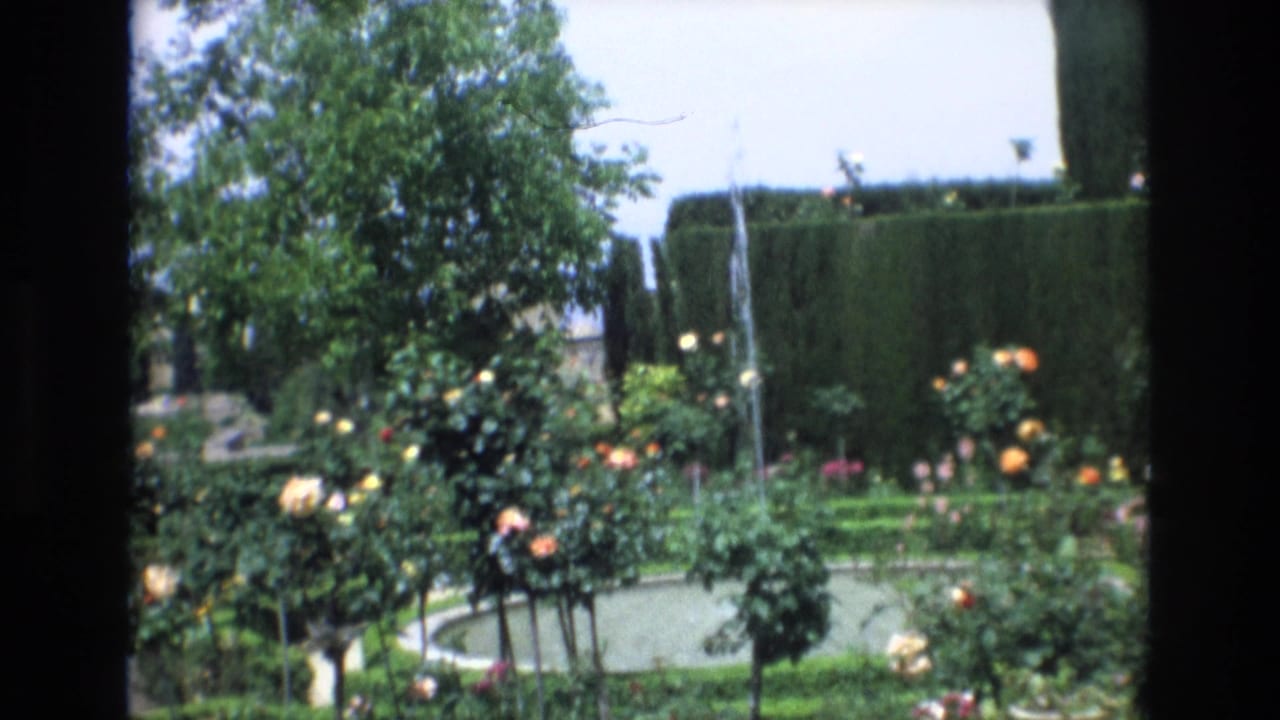1972 Spain home-movie frame showing a circular garden fountain pool with rose bushes, clipped hedges, and a leafy tree in bright daylight.