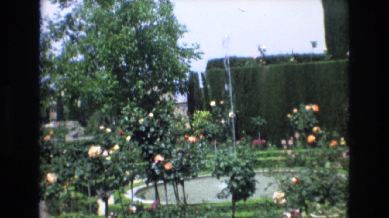 Flowering garden with a circular fountain pool and tall clipped hedges.