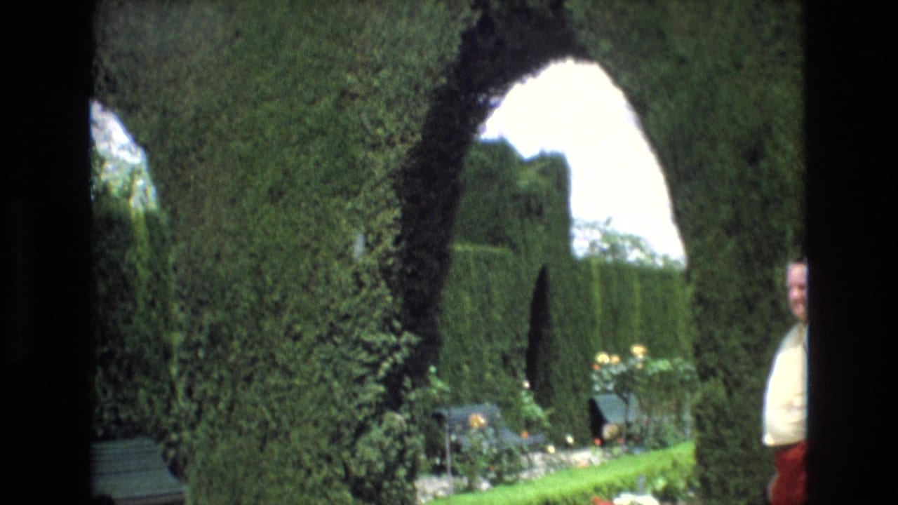 Tall clipped hedge arch with flower beds and a man partly visible at the right edge.