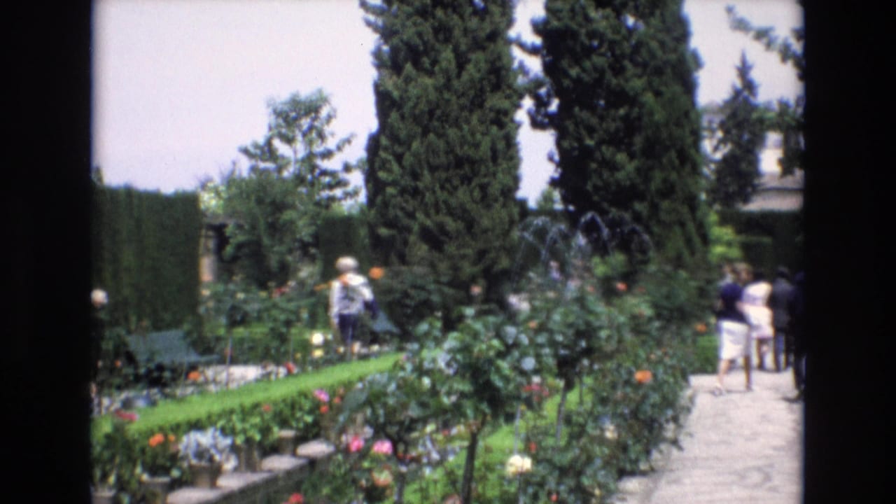 Garden path bordered by hedges, flowers, cypress trees, and several visitors.