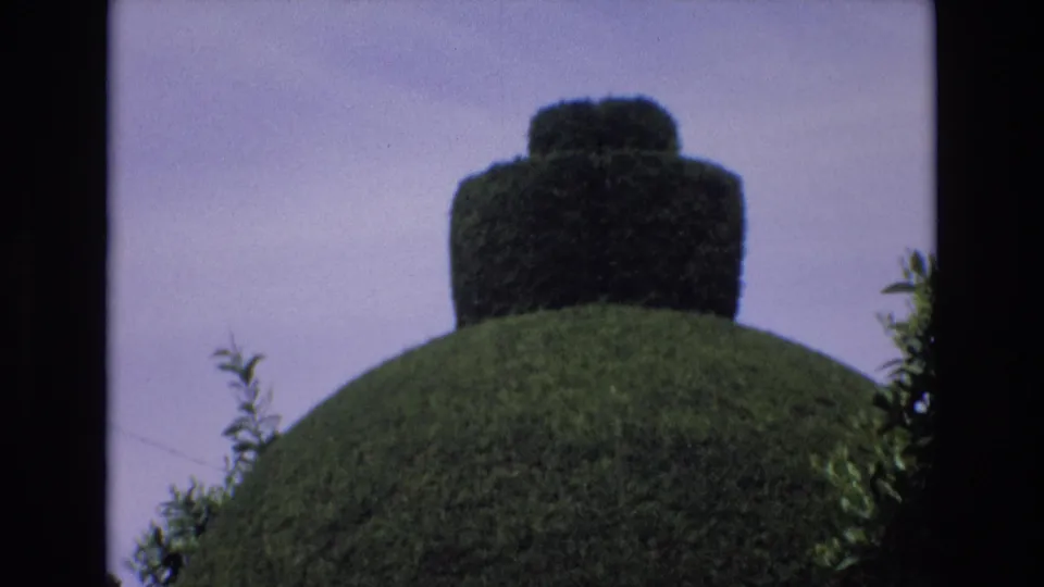 1972 Spain 8mm travel frame showing a close garden detail with a large dome-shaped topiary and a smaller clipped form rising above it against pale sky.