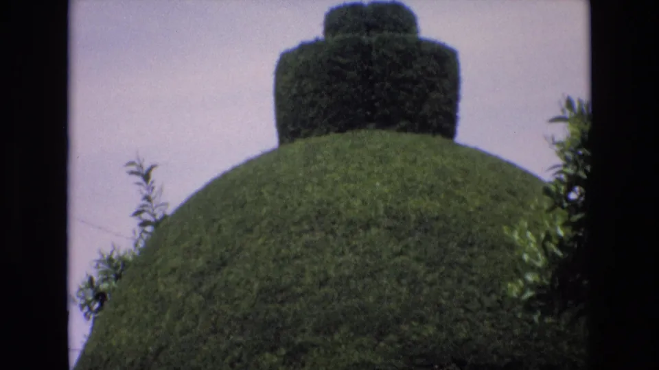 1972 Spain 8mm frame focused on a manicured dome-like topiary with a squared clipped crown, framed by surrounding leaves and open sky.