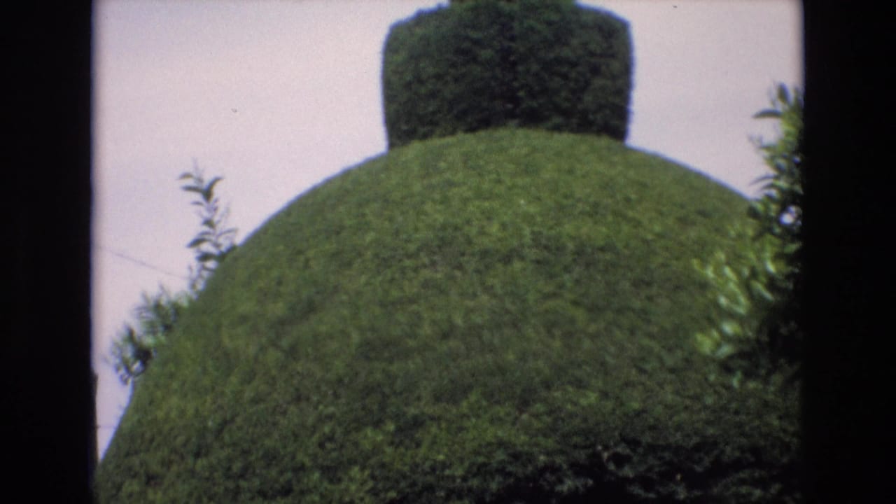 1972 Spain home-movie frame showing a close view of a rounded green topiary form with a squared hedge shape rising behind it.