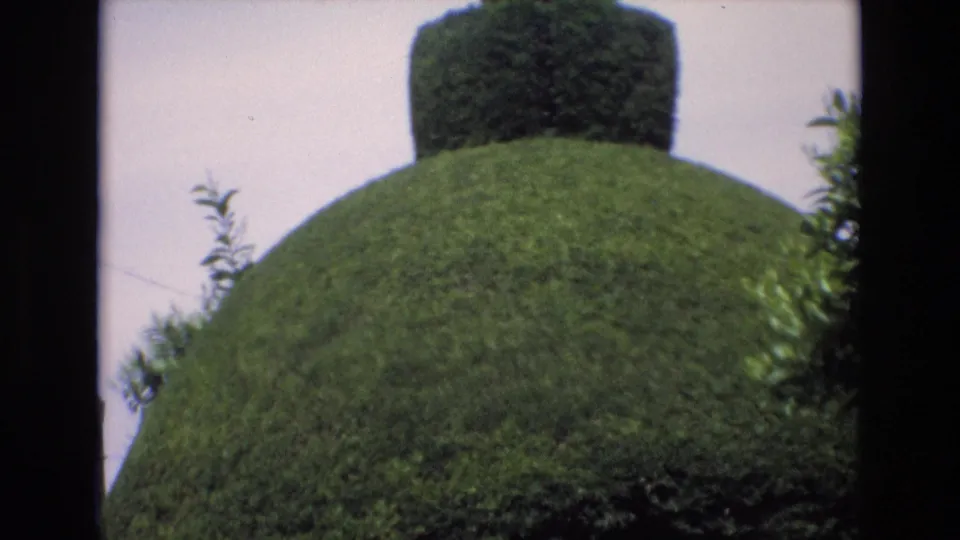 1972 Spain home-movie frame showing a close view of a rounded green topiary form with a squared hedge shape rising behind it.