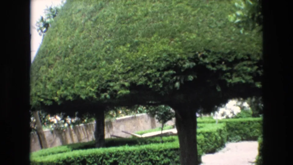 1972 Spain 8mm frame showing the full lower portion of a large rounded topiary standing above clipped hedges and a pale path in a formal garden.