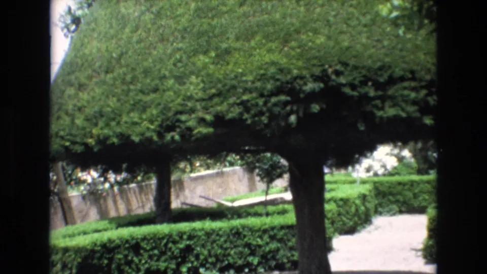 1972 Spain 8mm frame showing a shaded view toward clipped hedges, rounded topiary trees, and a garden path beyond dark vertical framing.