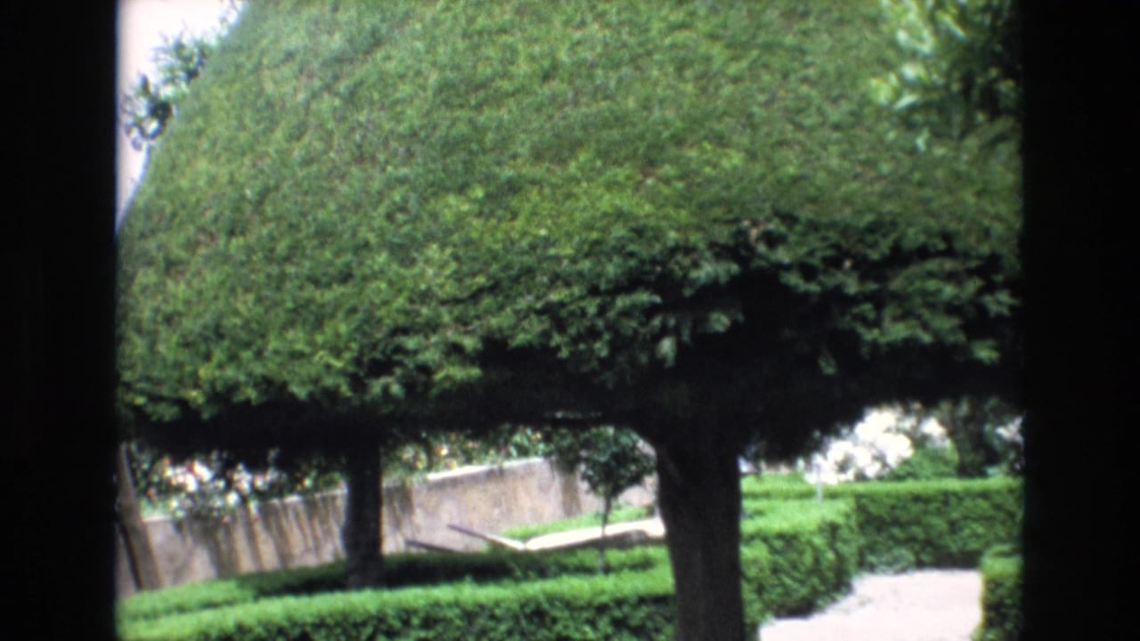 Rounded topiary and hedges beside a pale garden path.