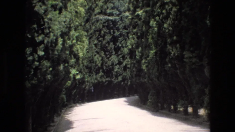 1972 Spain 8mm frame showing an empty sunlit garden path curving along dense hedges and tall overhanging trees.