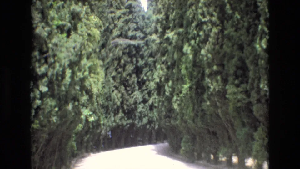 1972 Spain 8mm frame of a bright empty garden path enclosed by tall dense greenery, with strong contrast between sunlit pavement and shaded foliage.