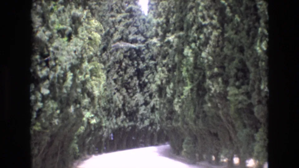 A 1972 Spain home-movie frame shows a sunlit road bordered by tall trees, filmed from a moving or handheld perspective with soft 8mm texture.