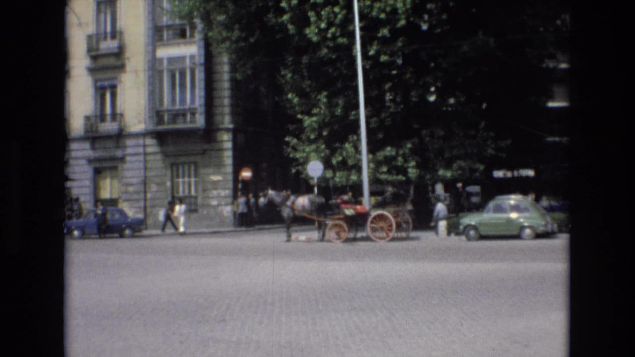 Horse and red carriage stand near a green car in front of trees and a stone building.