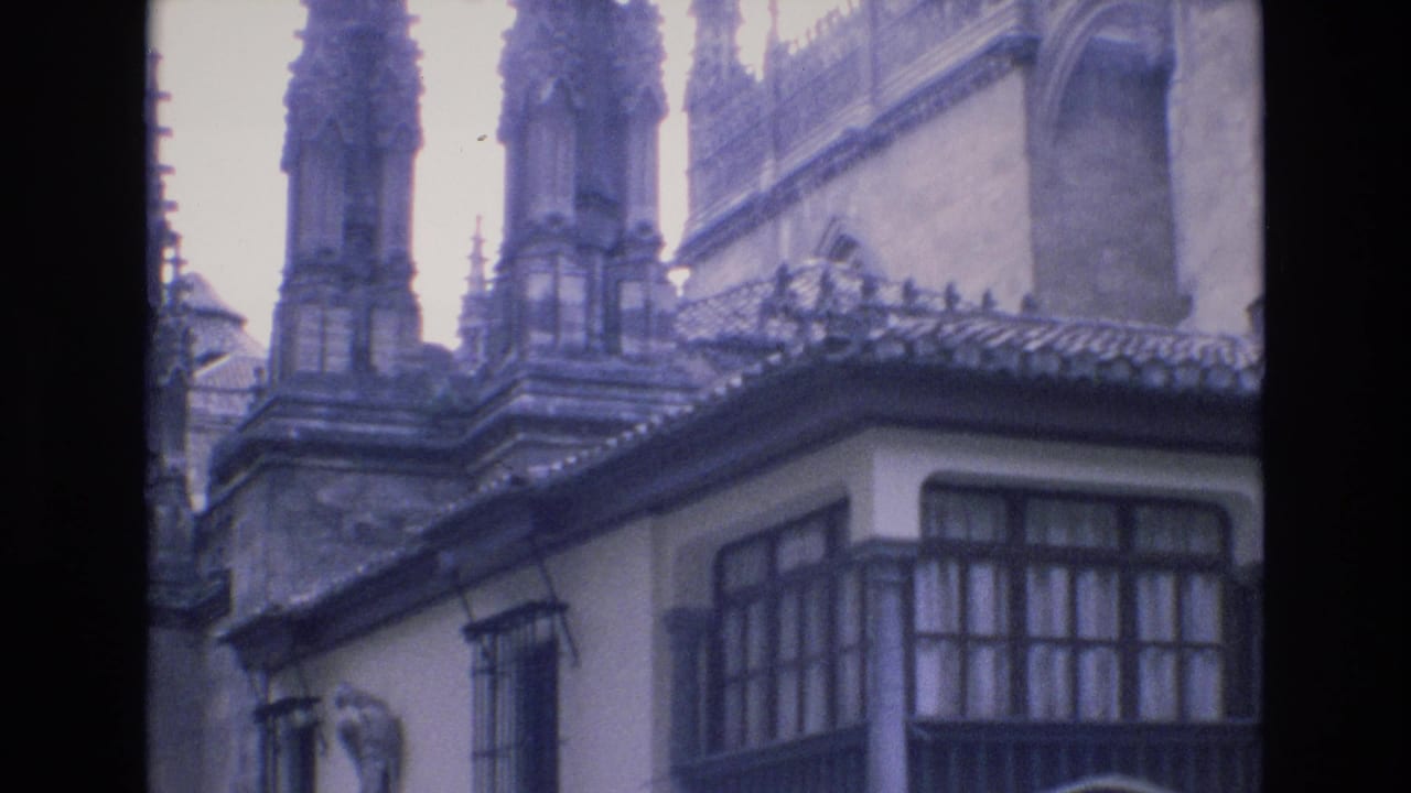 Ornate stone spires and a tiled roof sit above a building with enclosed wooden windows.