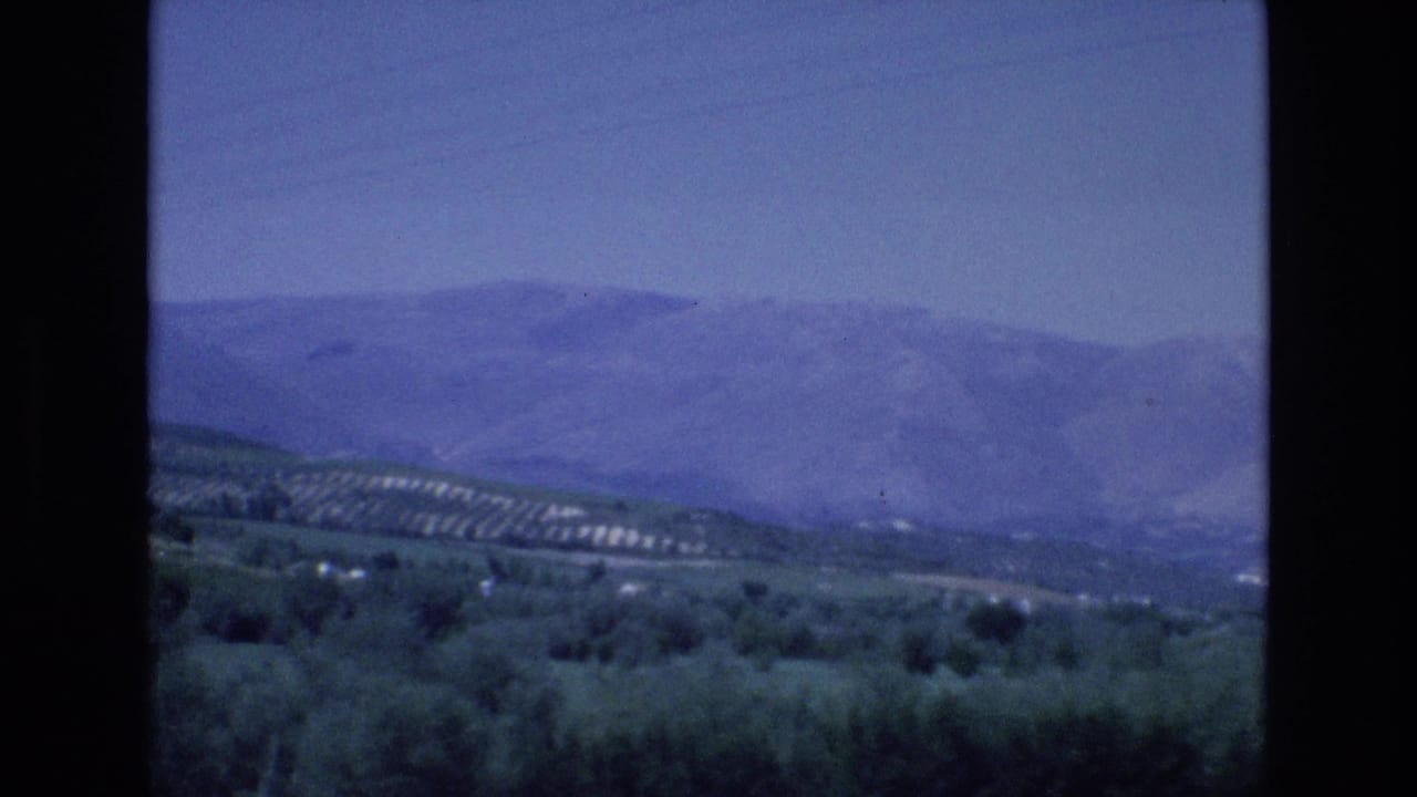 Distant mountains beyond trees and patterned hillside fields.
