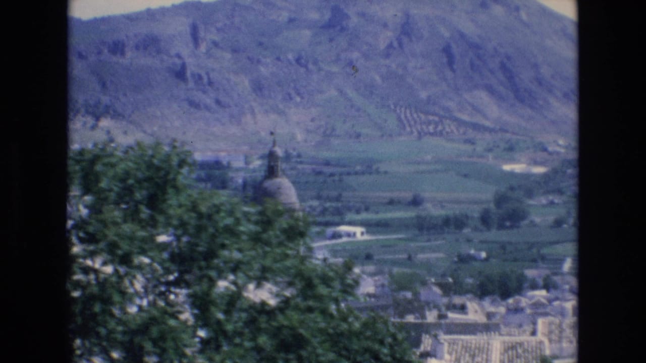 Church dome partly obscured by a tree with fields and mountains behind.
