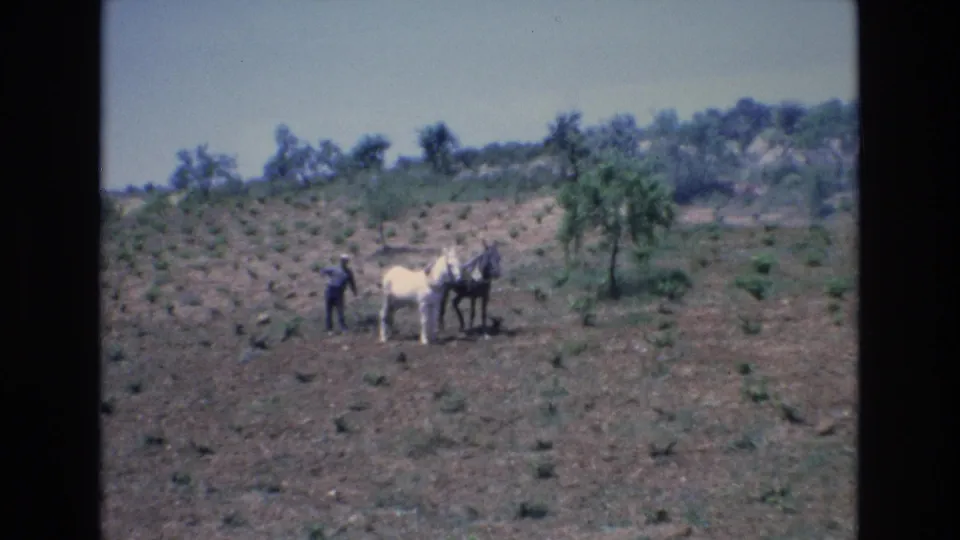 1972 Spain 8mm frame continuing the rural field view, with a man near two horses on dry tilled earth and scattered trees across the slope.