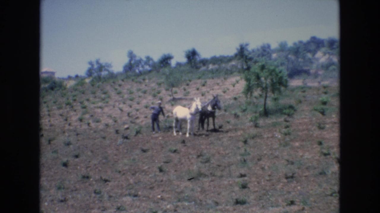 1972 Spain home-movie frame showing a distant farmer with a white horse and a dark horse in a sparsely vegetated rural field.