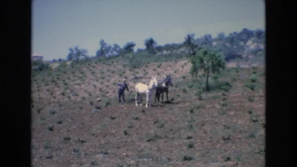 1972 Spain home-movie frame showing a distant farmer with a white horse and a dark horse in a sparsely vegetated rural field.