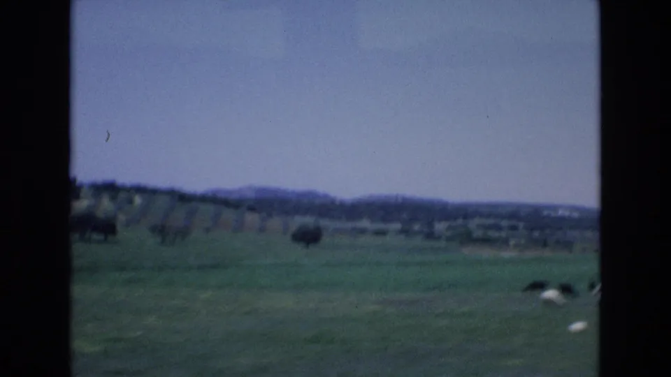 Soft 8mm frame from rural Spain in 1972 showing open green pasture, distant trees, hills, and sheep partly visible at the lower right.