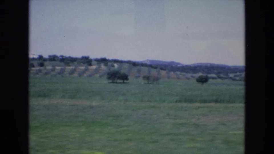 1972 Spain home-movie frame showing open green countryside, scattered trees, and a soft distant ridge from a moving travel viewpoint.
