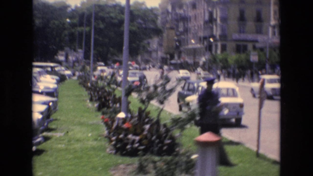 Sunny street with parked cars, a grassy flower median, pedestrians, and a traffic officer near moving vehicles.