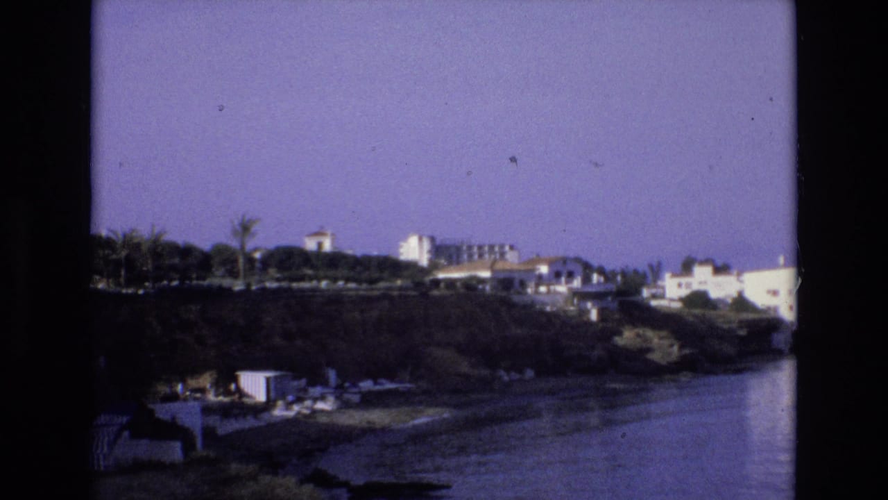 Shoreline view with hillside buildings, palms, and water under an open sky.
