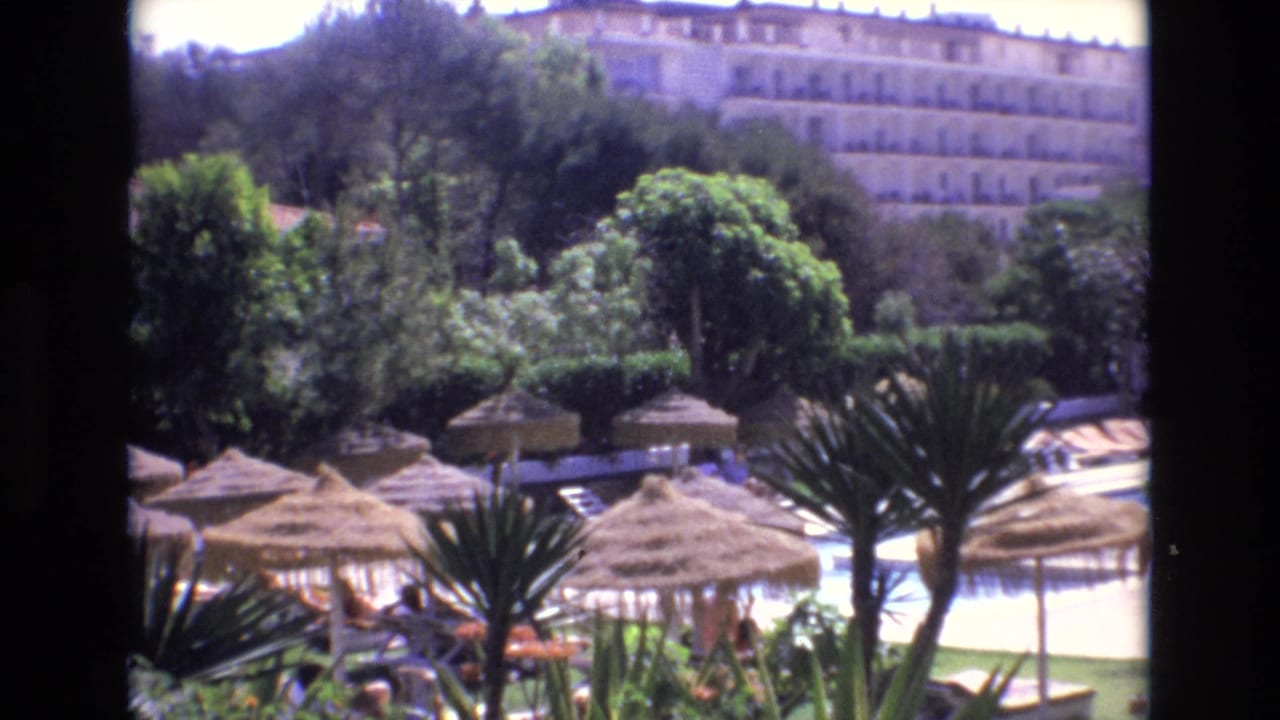 Poolside straw umbrellas and tropical plants with a large hotel partly visible behind trees.