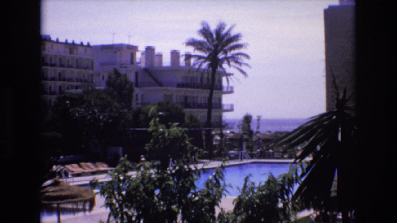 Poolside resort grounds with palms, white buildings, and ocean visible in the background.