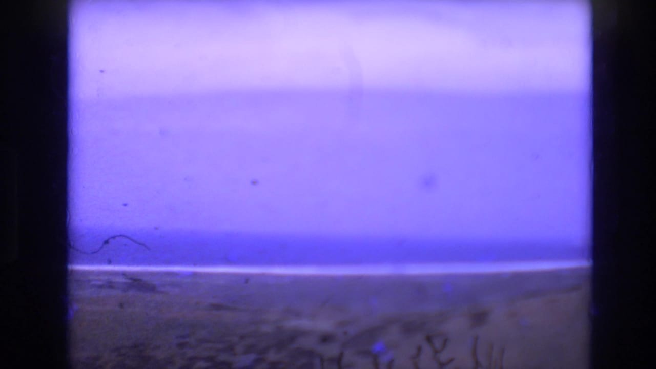 1972 Spain home-movie frame showing a blue-violet sky above a sandy beach and ocean horizon, with dark 8mm frame edges and visible dust.