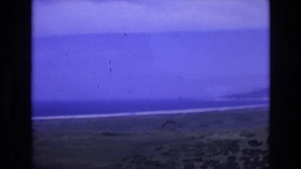 1972 Spain home-movie frame showing a distant ocean horizon, pale shoreline, dark coastal scrub, and purple-blue sky with visible 8mm gate borders.