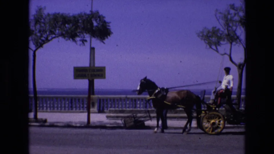In Spain in 1972, a horse-drawn carriage and driver move through a waterfront promenade scene with a signpost, trees, balustrade, bench, and sea visible behind them.