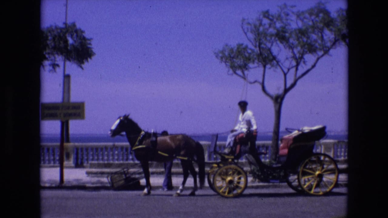 Horse and buggy with driver stopped near trees and a seaside railing.