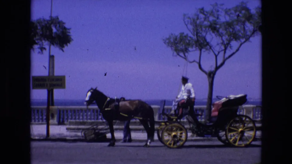 Spain 1972 8mm frame of a horse-drawn buggy and seated driver on a coastal road, with a roadside sign, tree, balustrade, and sea in the background.