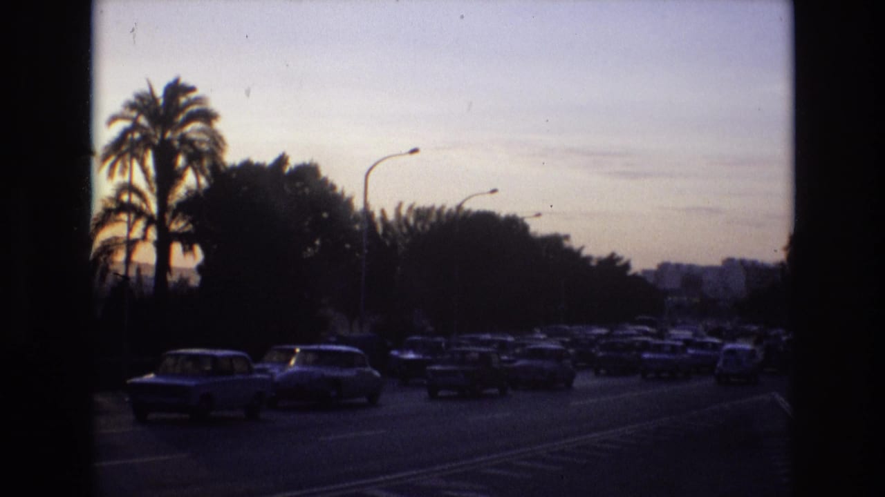 Traffic moves on a broad road lined with palms, trees, and curved streetlights at sunset.