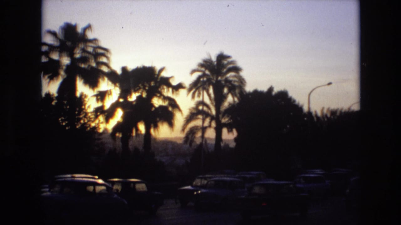 1972 Spain home-movie frame showing dark palm trees and parked cars against a low golden sunset.