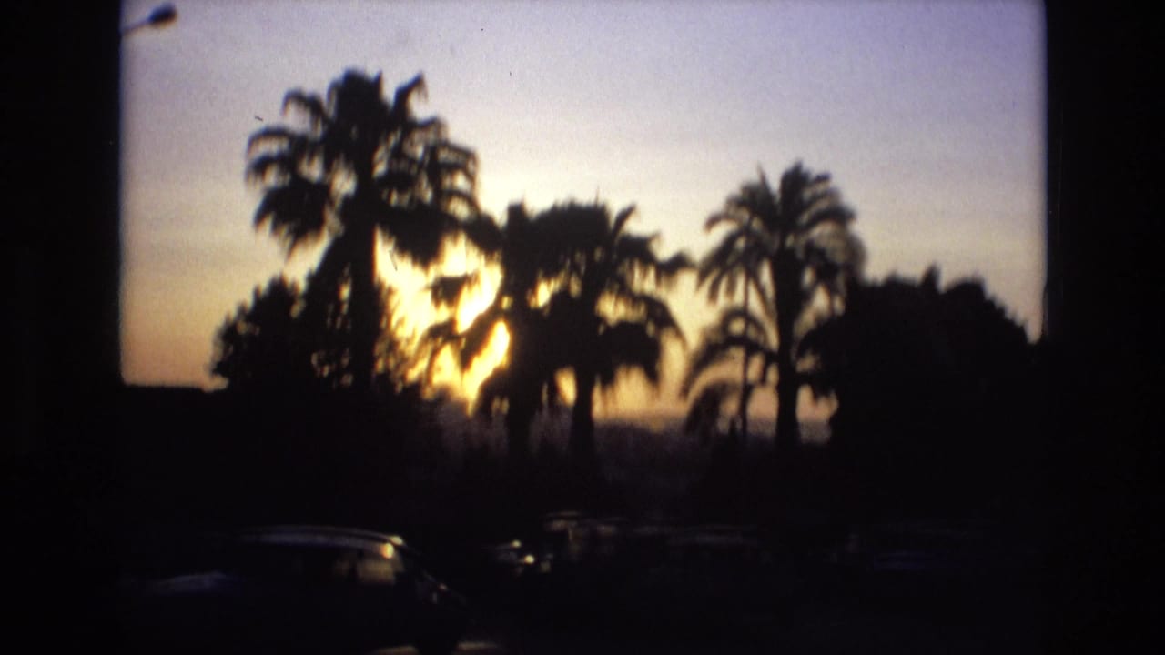 Palm trees and cars silhouetted in fading evening light.