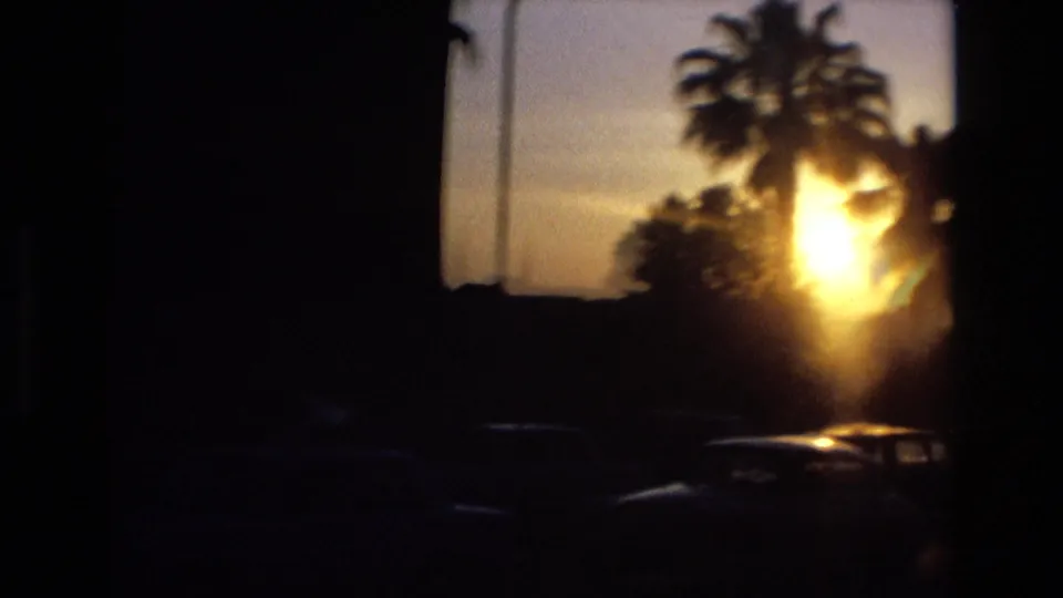Close 8mm frame of the setting sun flaring through palm trees above dark parked cars in 1972 Spain.